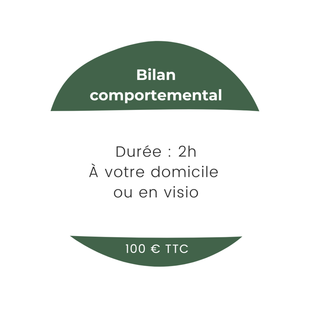 Bilan comportemental chien 